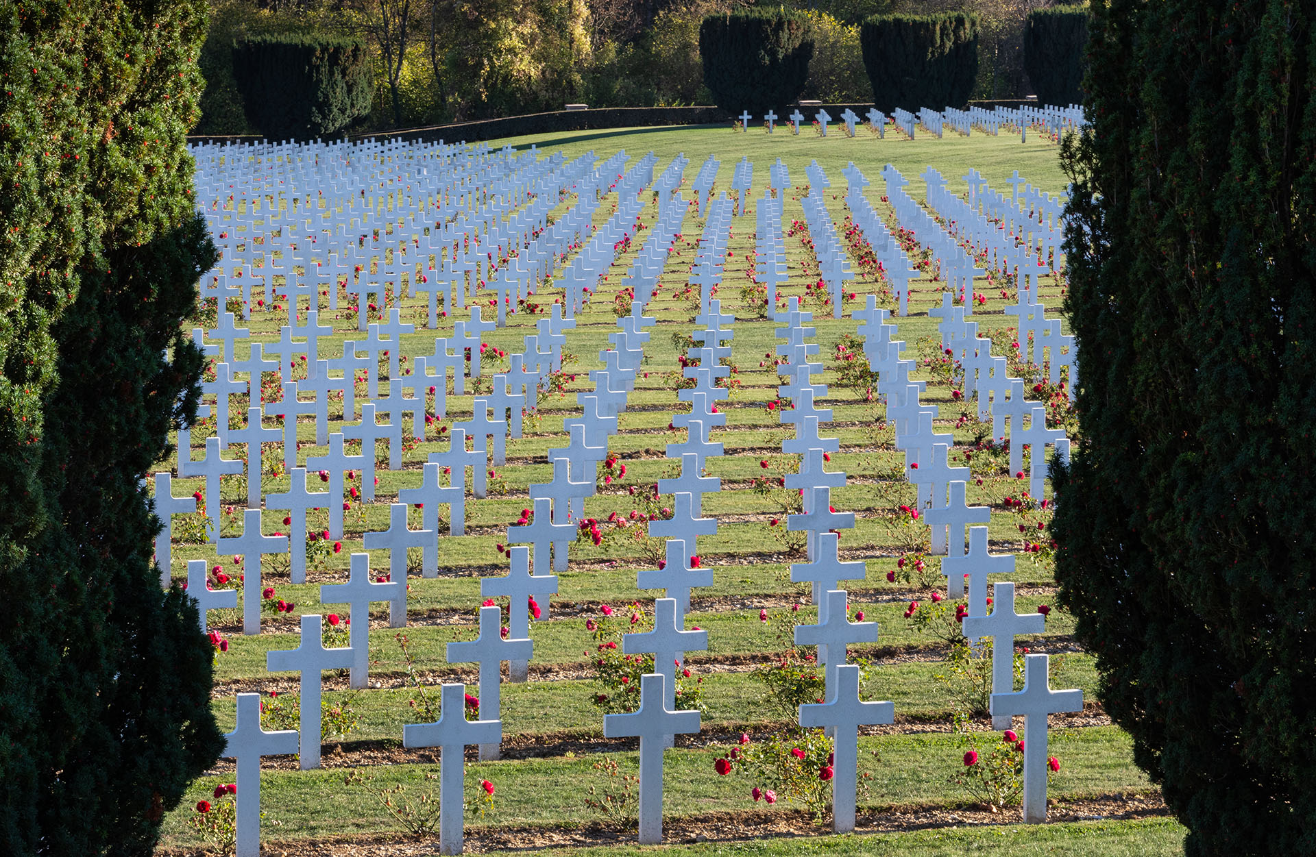 The vast cemetery beside the Douaumont ossuary at Verdun, with more than 16,000 graves