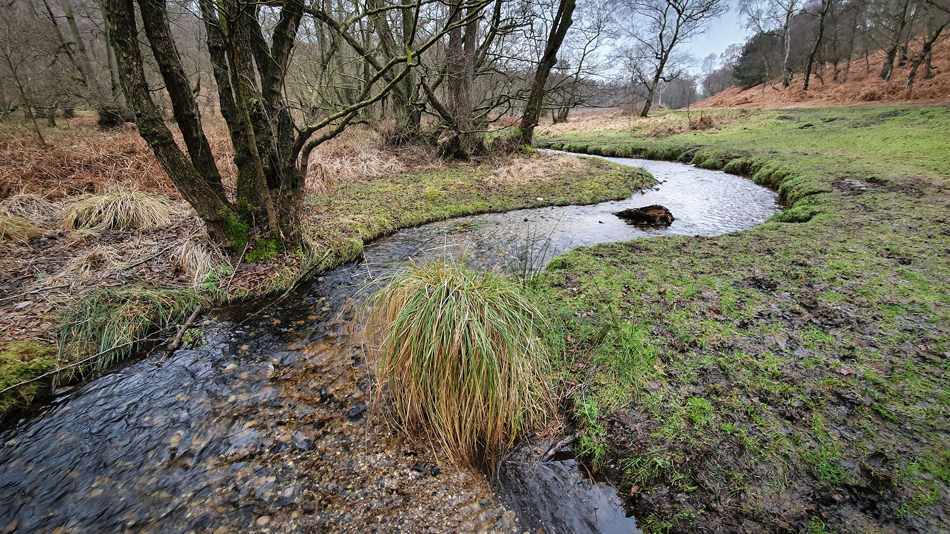 A meandering section of the pretty Sher Brook near Devil's Dumble