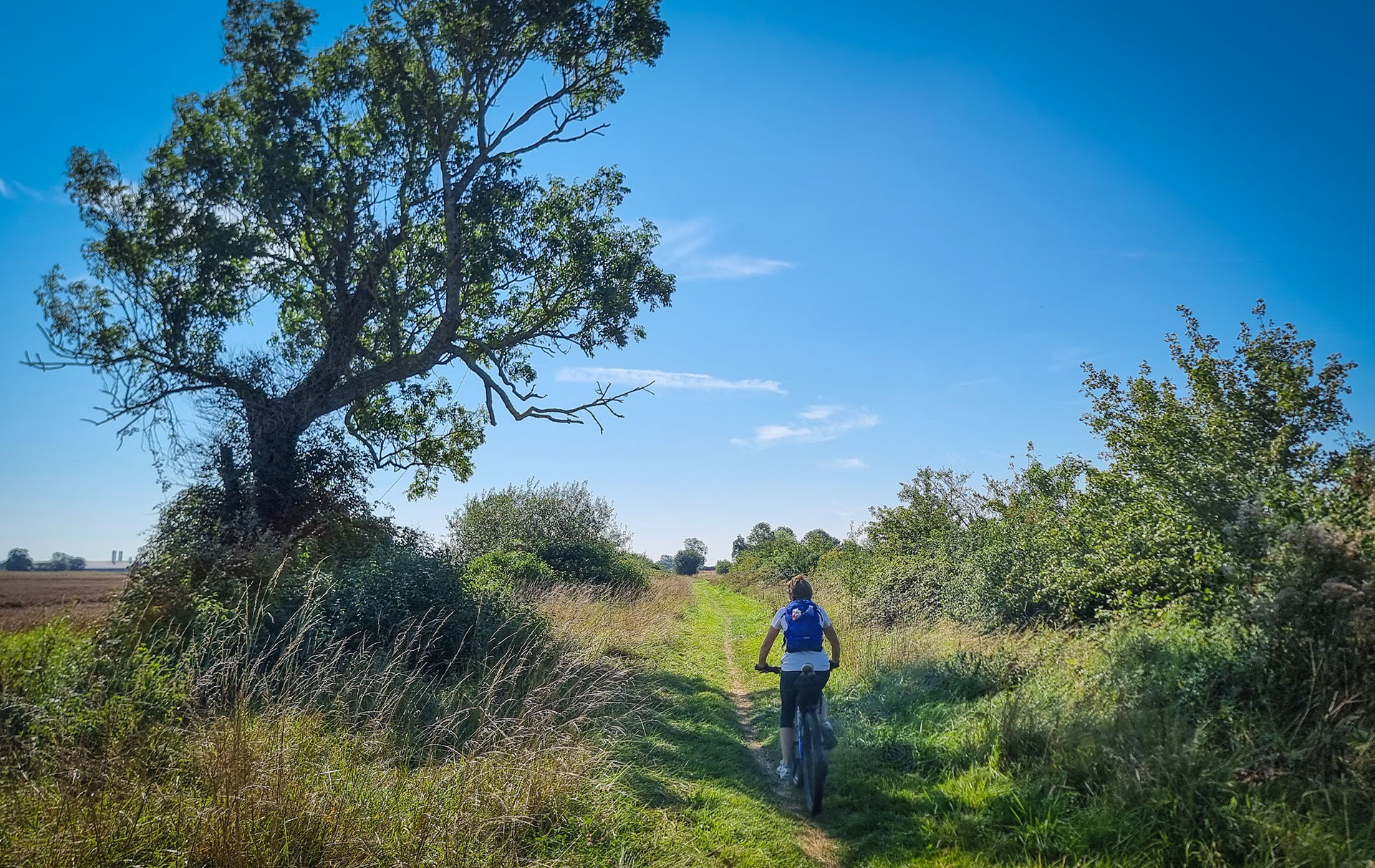 On a bridleway, Wacton Common