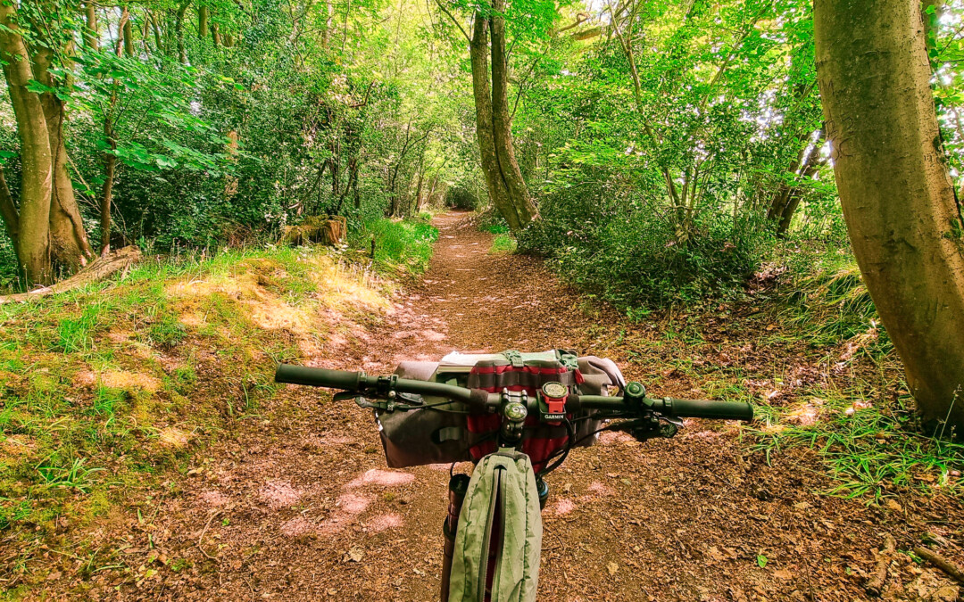 Cycling along a very attractive section of bridleway through classic Chilterns woodland